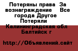 Потеряны права. За вознаграждение. - Все города Другое » Потеряли   . Калининградская обл.,Балтийск г.